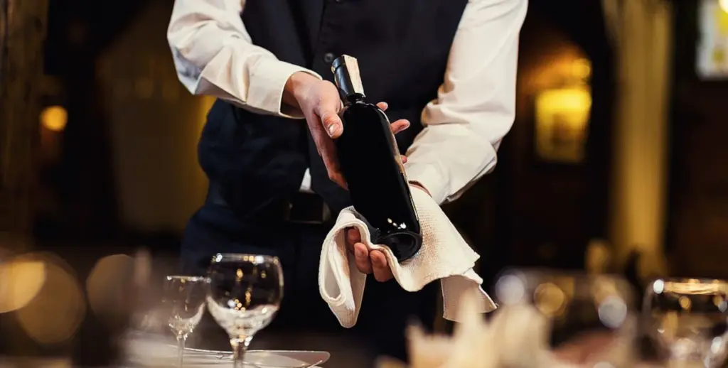 Guía de uso de cavas de vinos en restaurantes y tiendas gourmet
